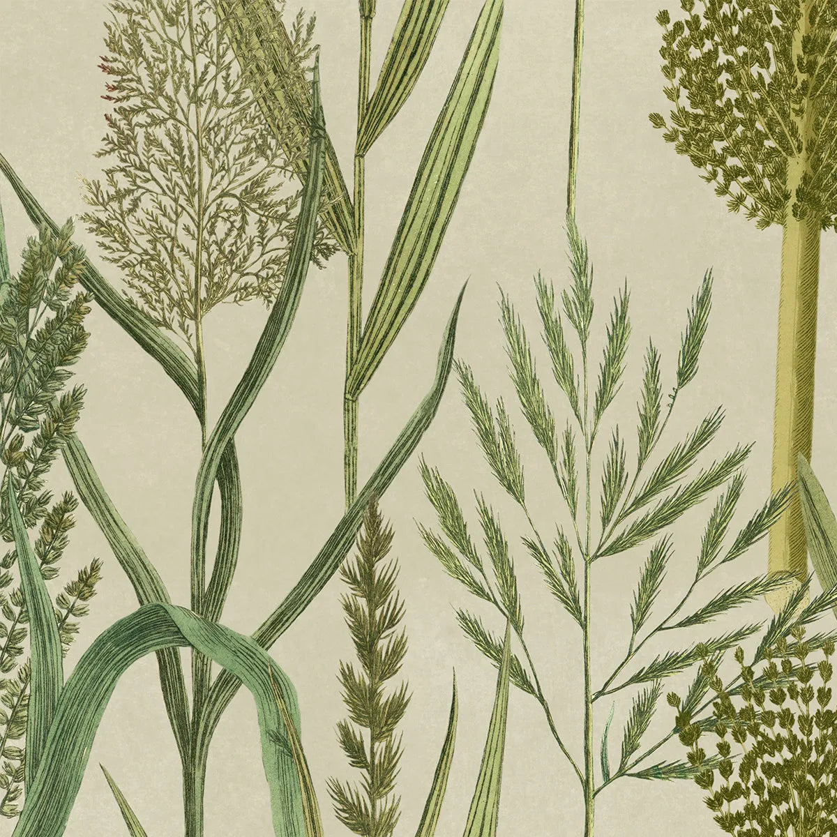 Riverside Flora Wallpaper - Mind The Gap