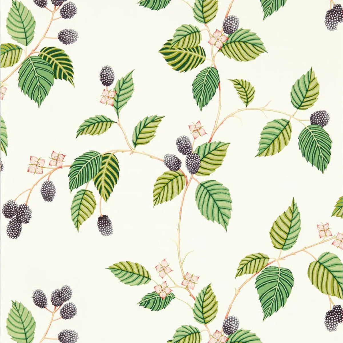 Rubus Wallpaper - Sanderson