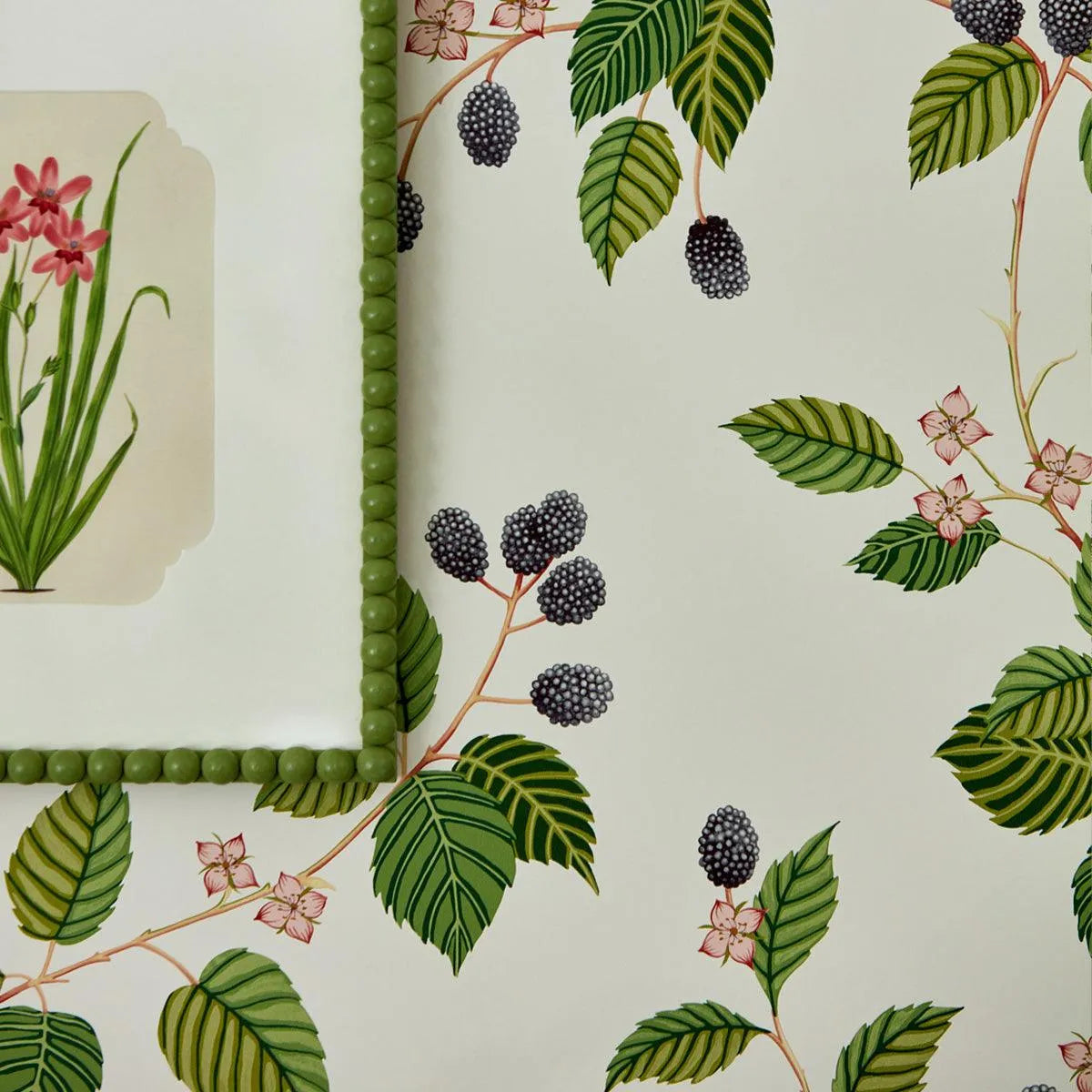 Rubus Wallpaper - Sanderson