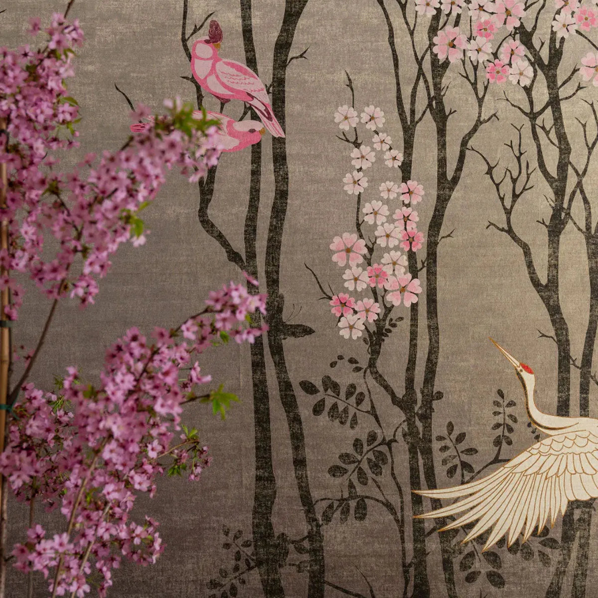 Sakura Wallpaper - Wendy Morrison Design