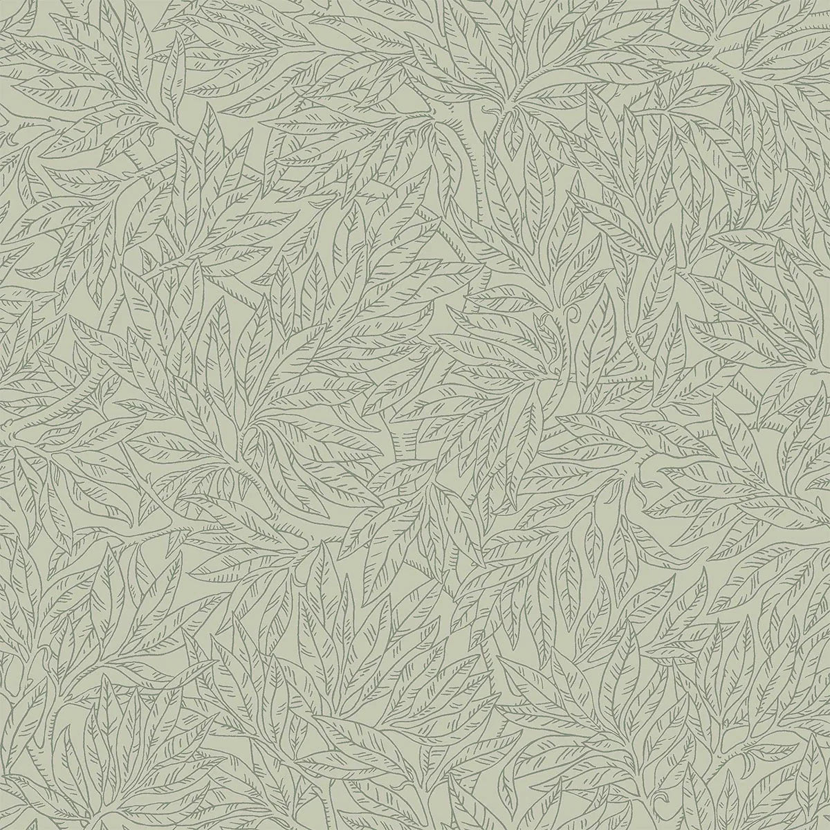 Salix Alba Wallpaper - Borastapeter