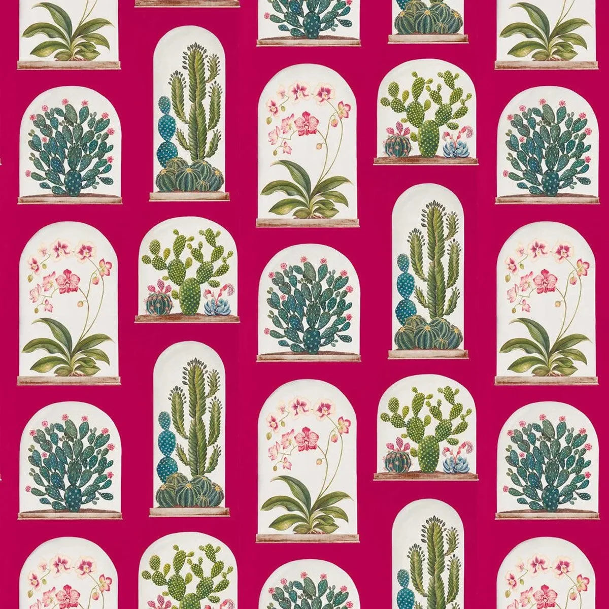 Terrariums Wallpaper - Sanderson