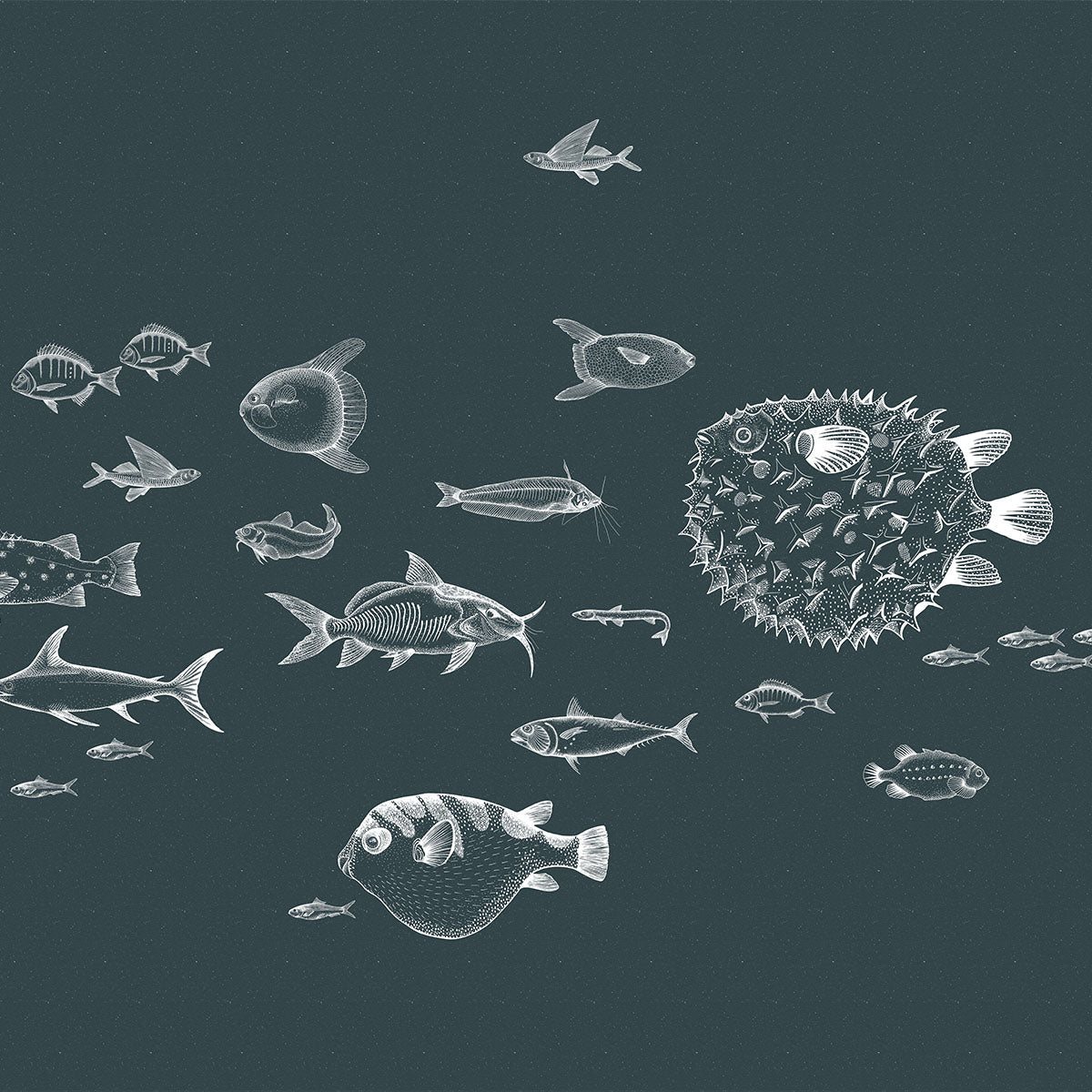 Sea Current Mural Wallpaper - Coordonne
