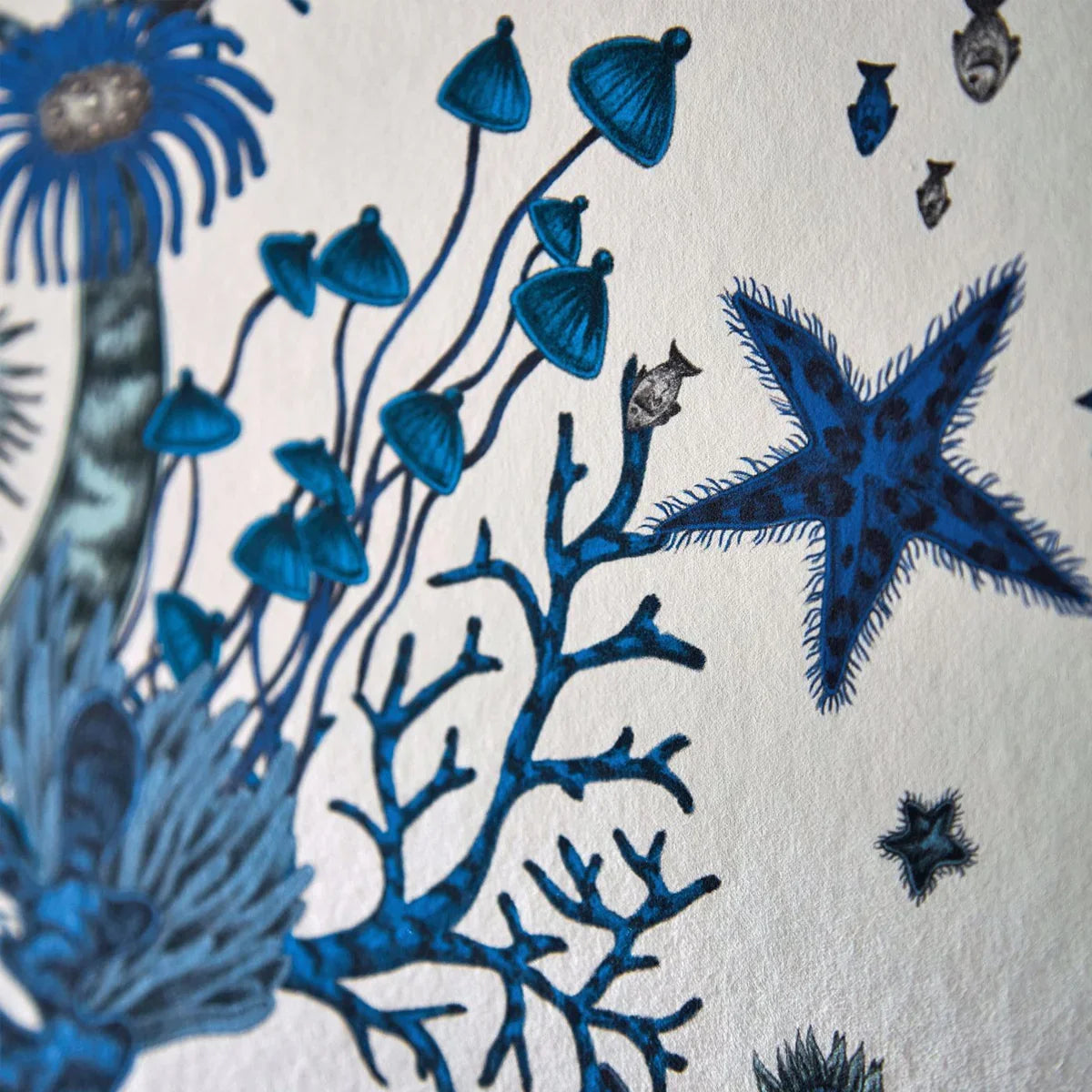 Seaforest Wallpaper - Clarke & Clarke X Emma Shipley