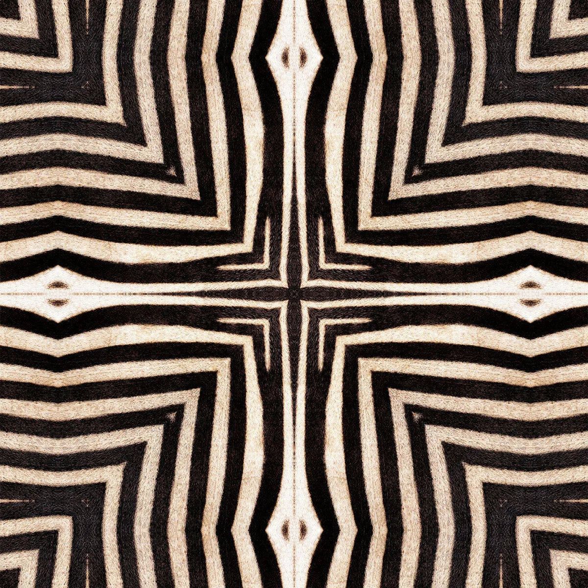 Serengeti Wallpaper - Mind The Gap