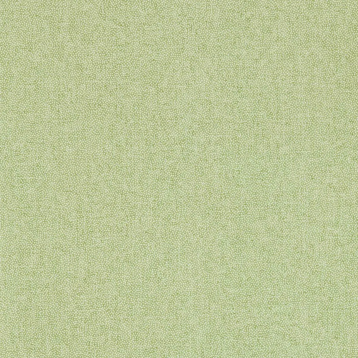 Sessile Plain Wallpaper - Sanderson X Salvesen Graham