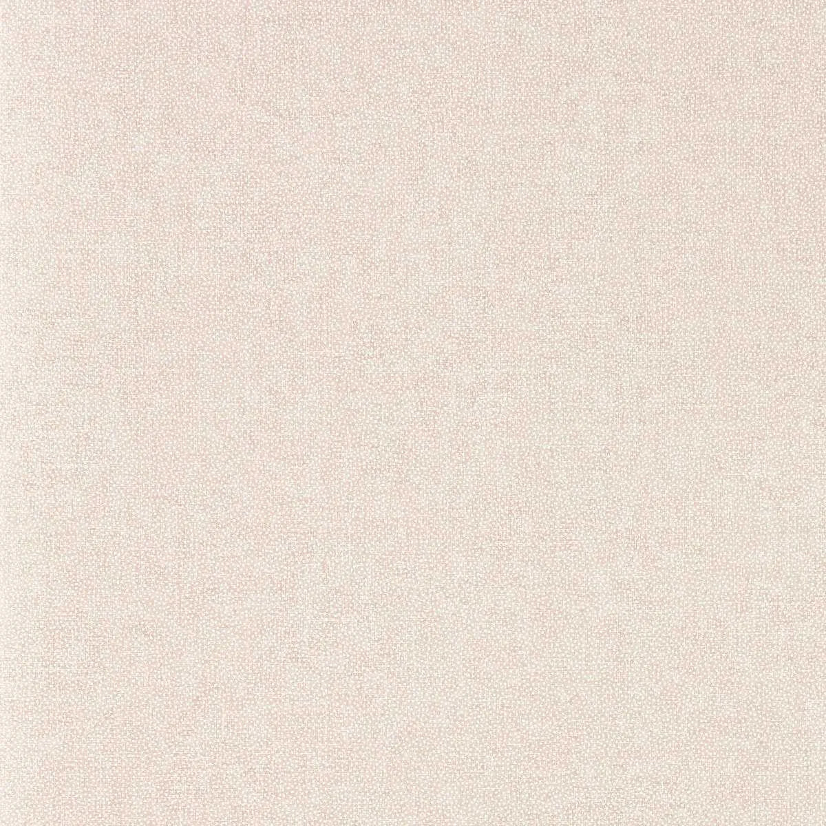 Sessile Plain Wallpaper - Sanderson X Salvesen Graham