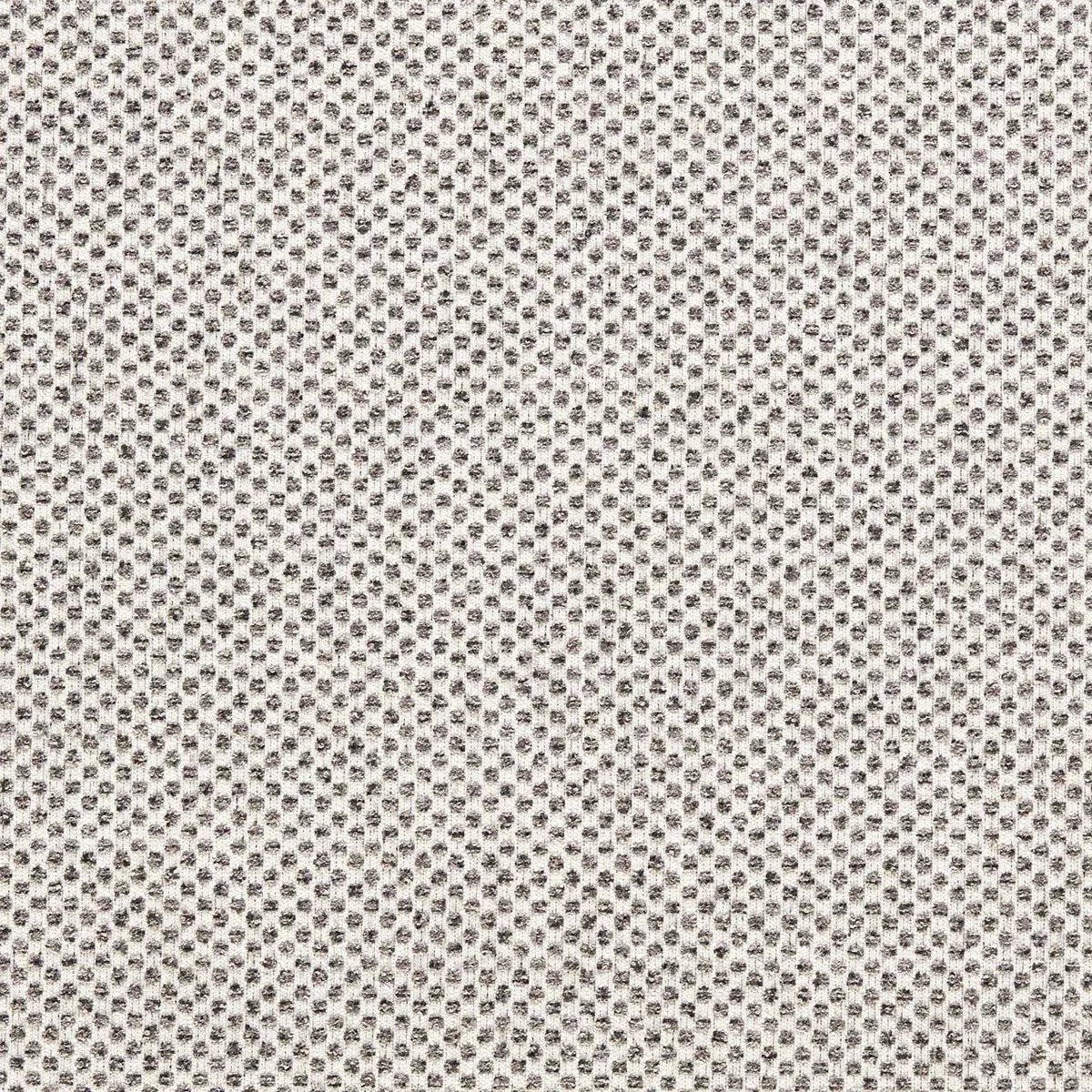 Sotano Fabric - Clarke & Clarke