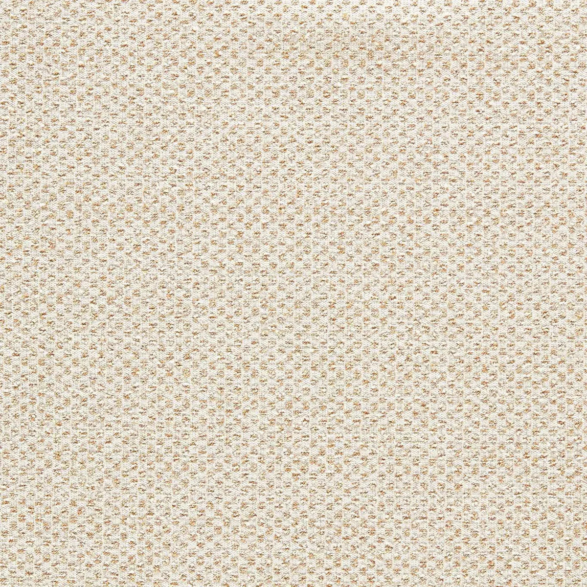 Sotano Fabric - Clarke & Clarke
