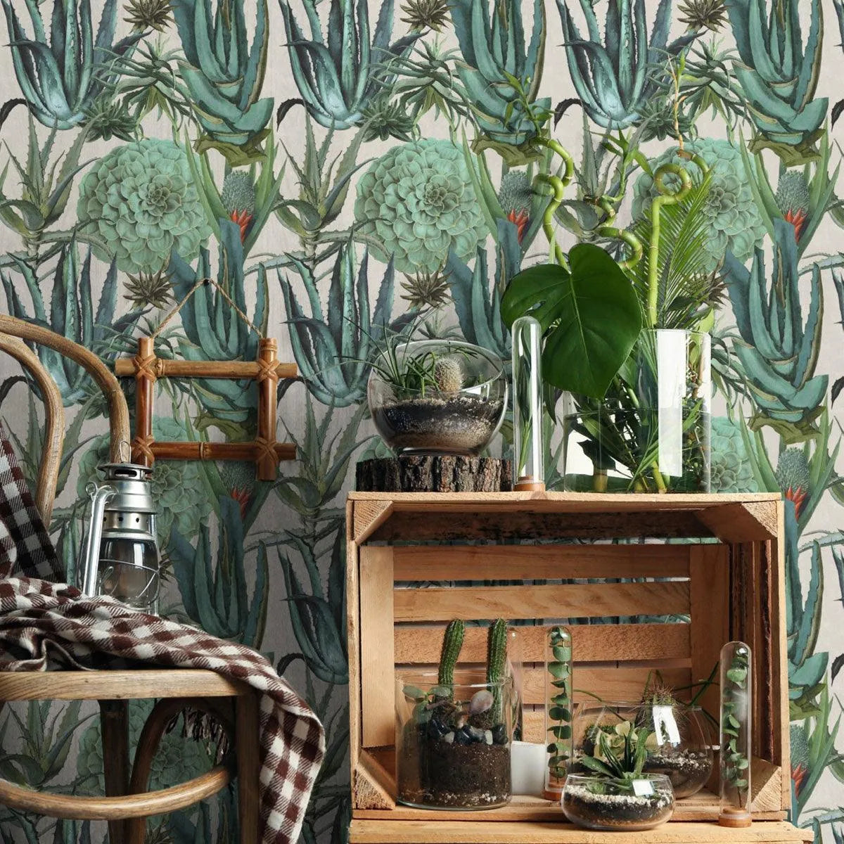 Succulentus Wallpaper - Mind The Gap