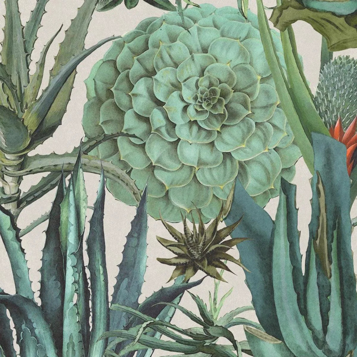 Succulentus Wallpaper - Mind The Gap