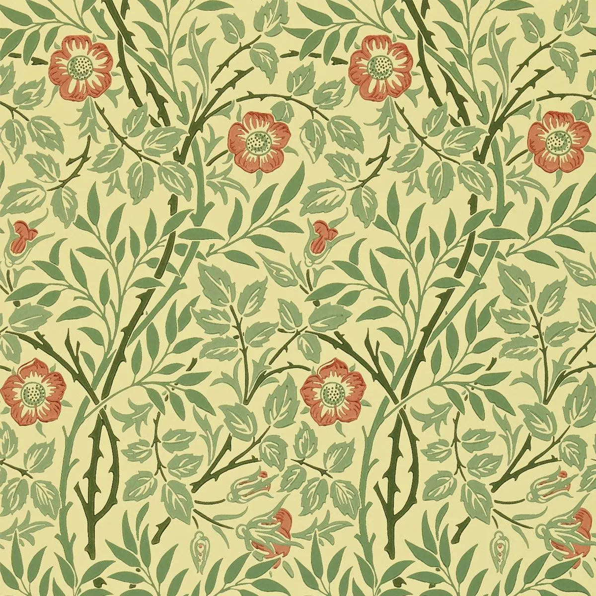 Sweet Briar Wallpaper - Morris & Co