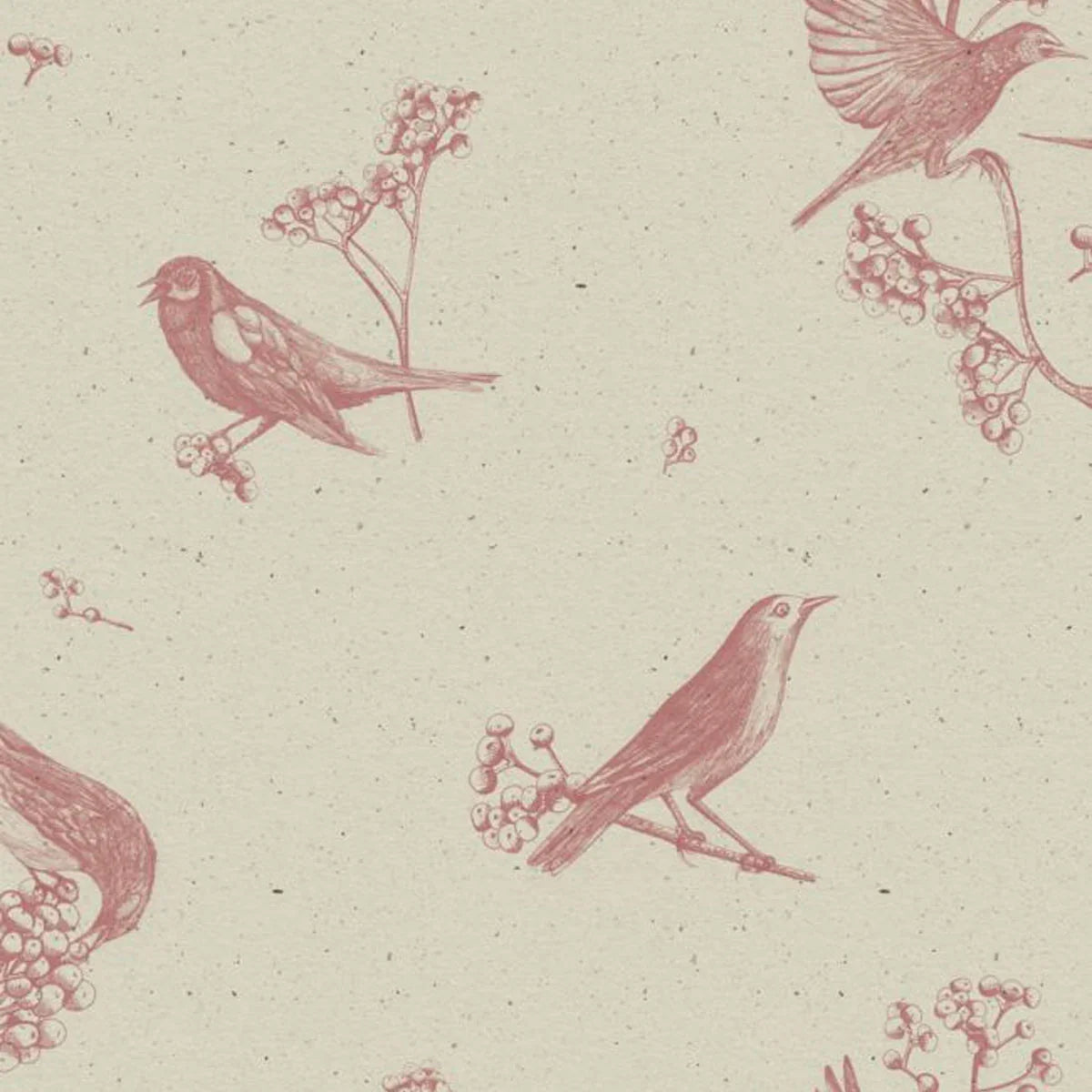 Sweet Birds Wallpaper - Coordonne