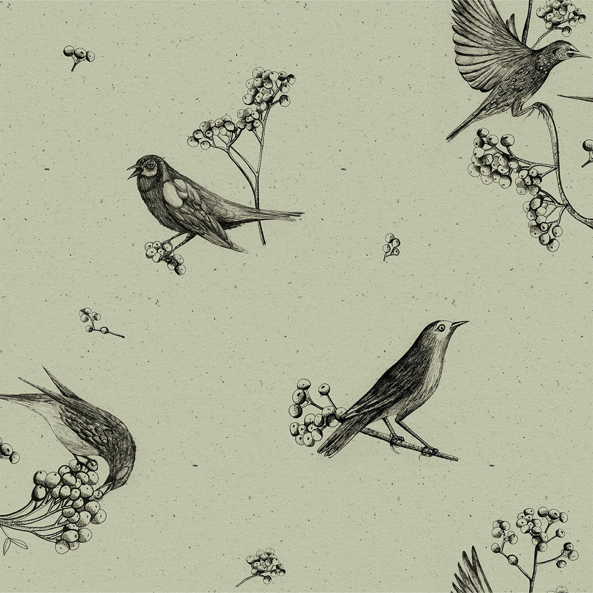 Sweet Birds Wallpaper - Coordonne