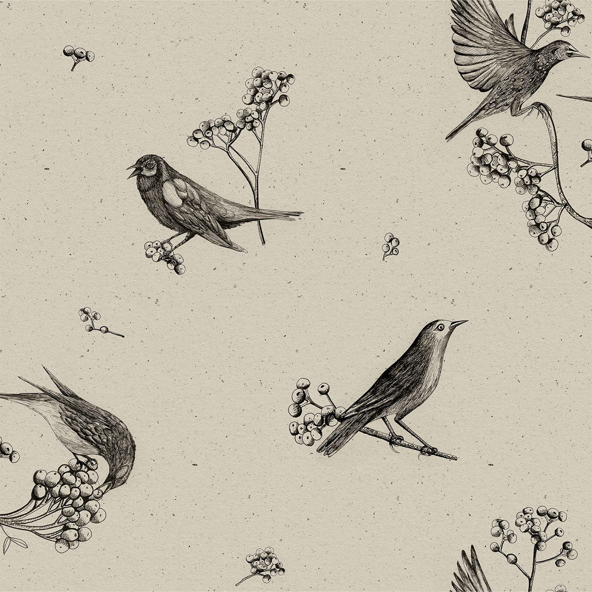 Sweet Birds Wallpaper - Coordonne