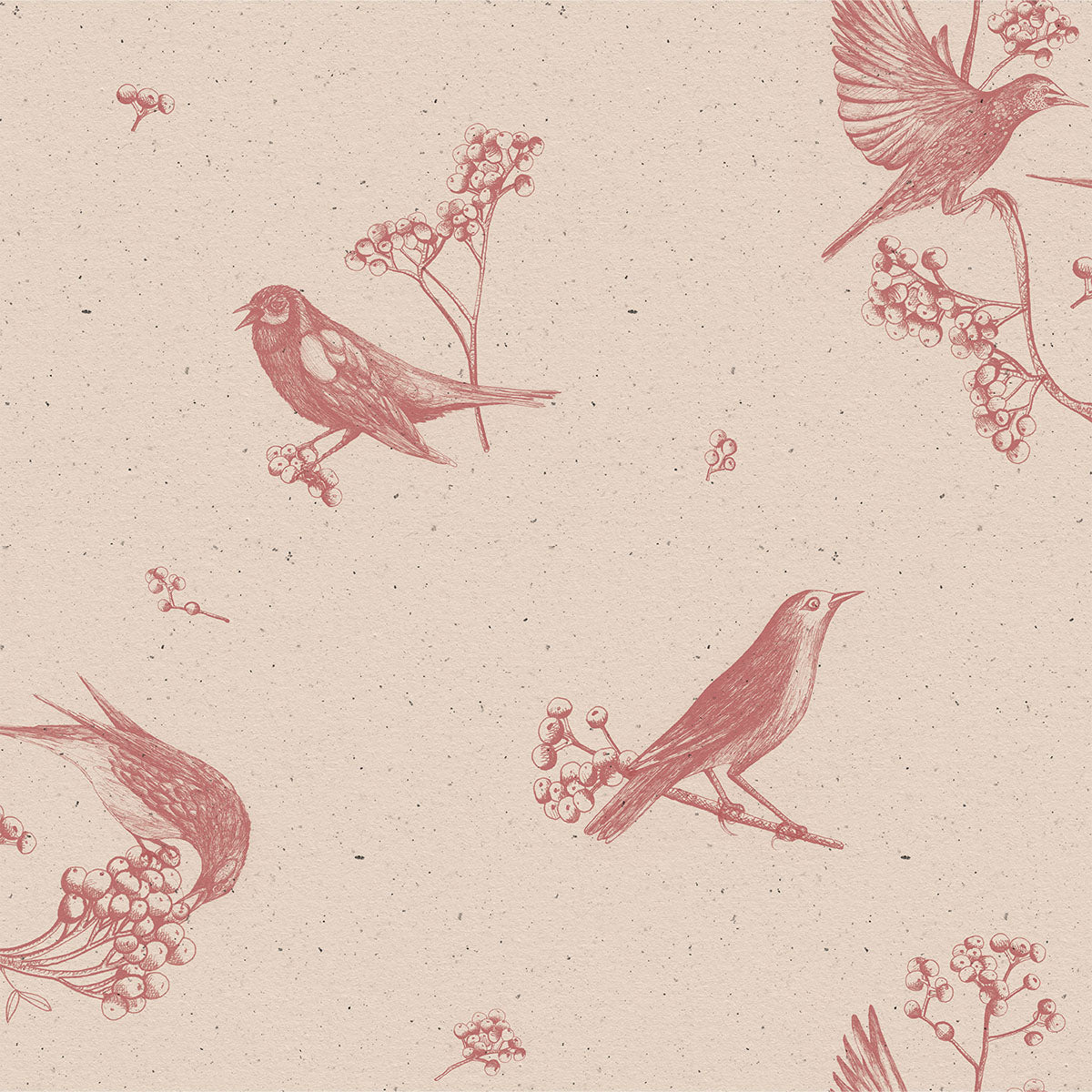 Sweet Birds Wallpaper - Coordonne