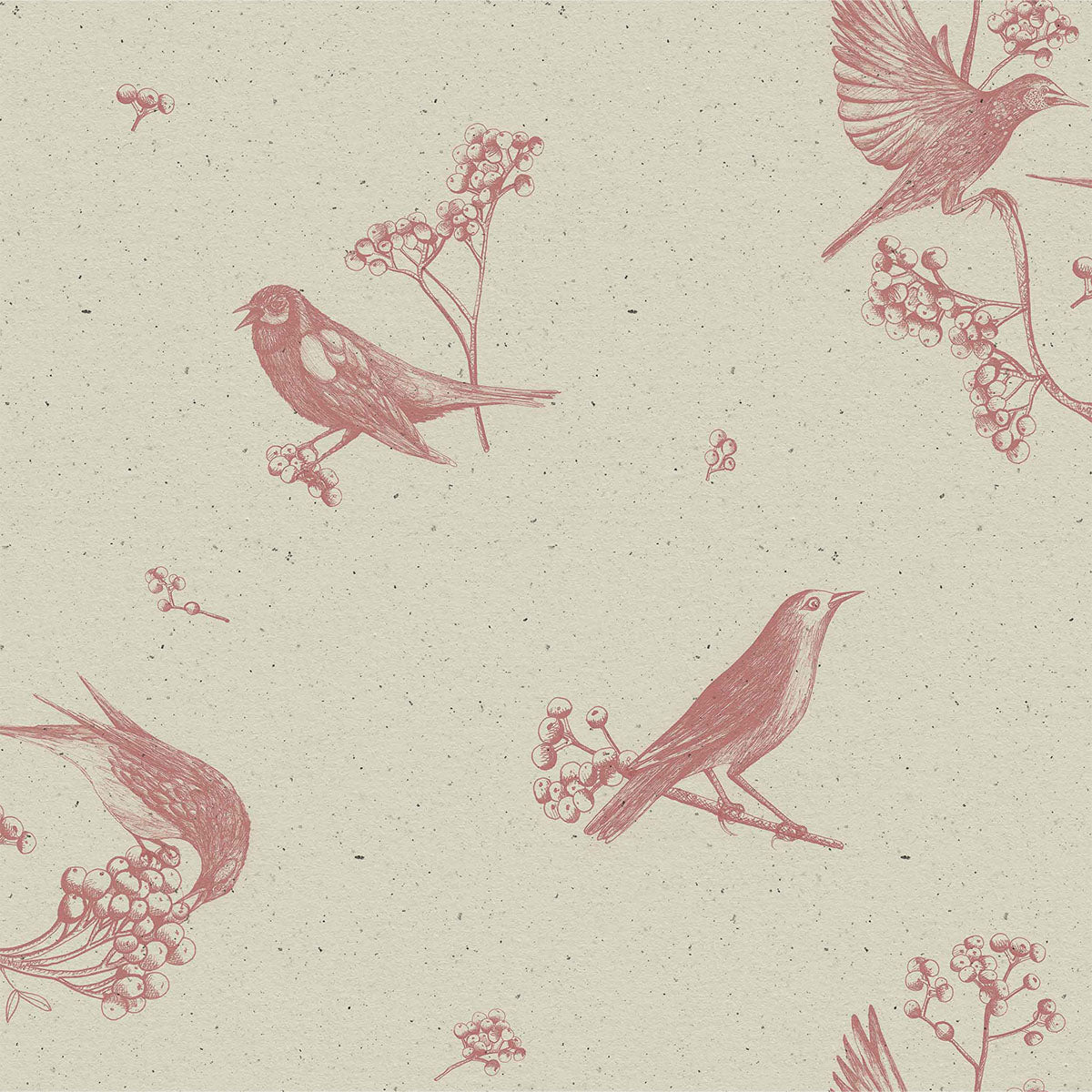 Sweet Birds Wallpaper - Coordonne