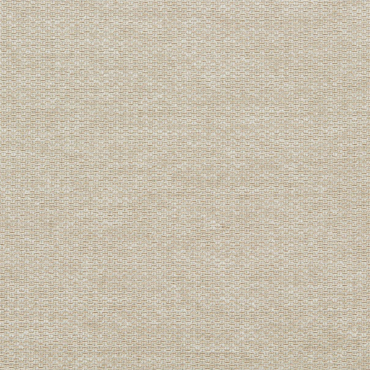 Tergo Fabric - Clarke & Clarke