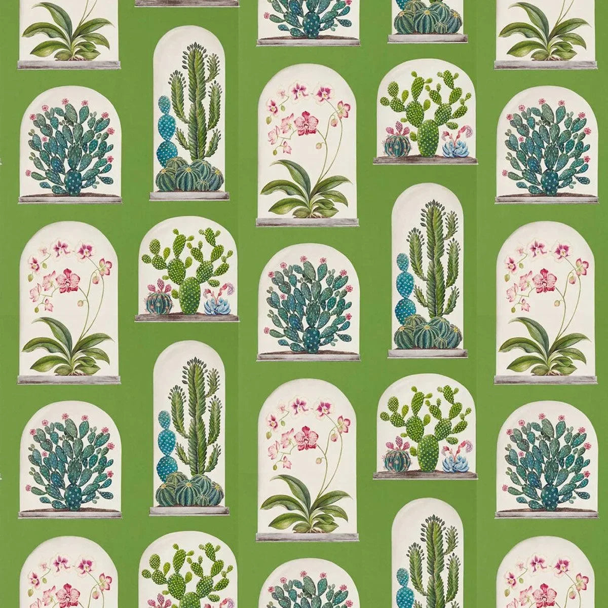 Terrariums Wallpaper - Sanderson