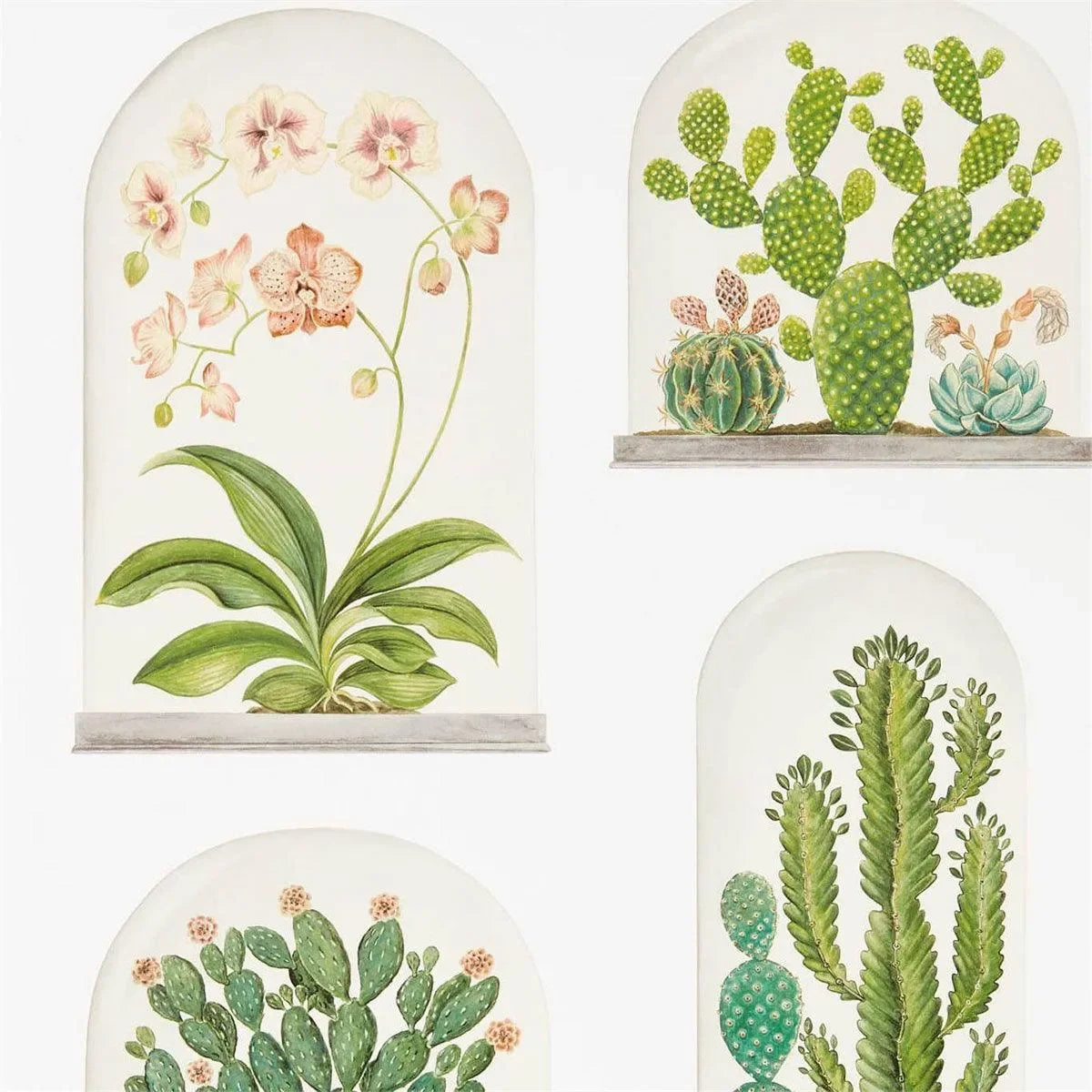 Terrariums Wallpaper - Sanderson