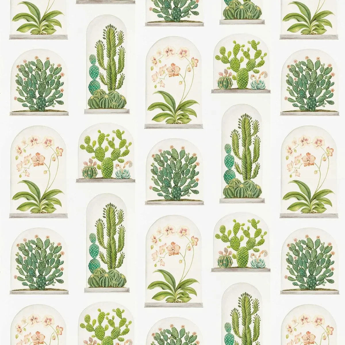 Terrariums Wallpaper - Sanderson