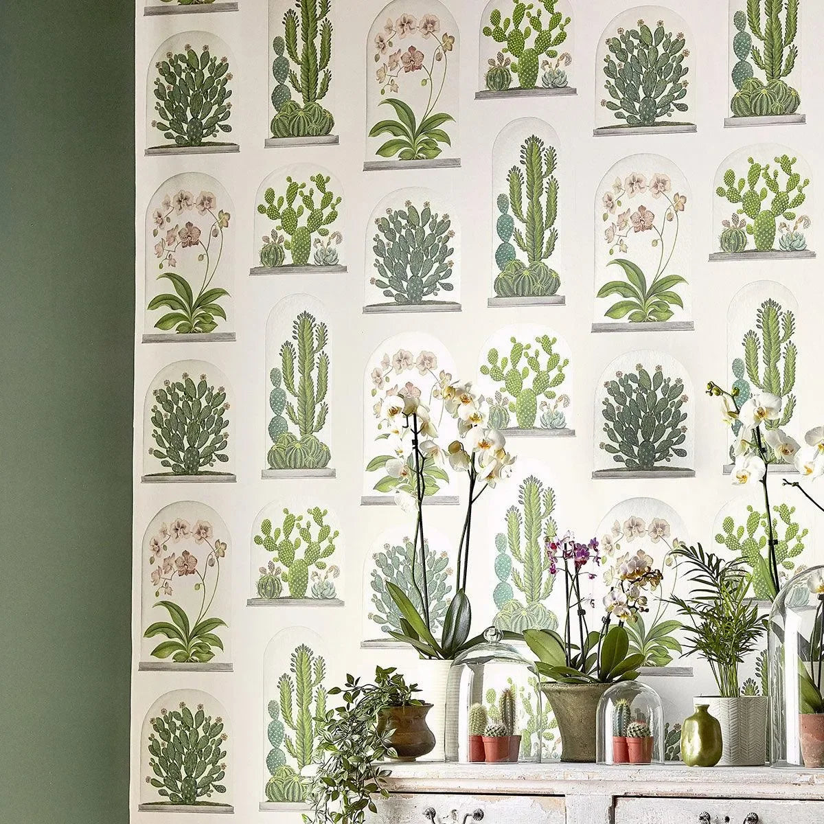 Terrariums Wallpaper - Sanderson