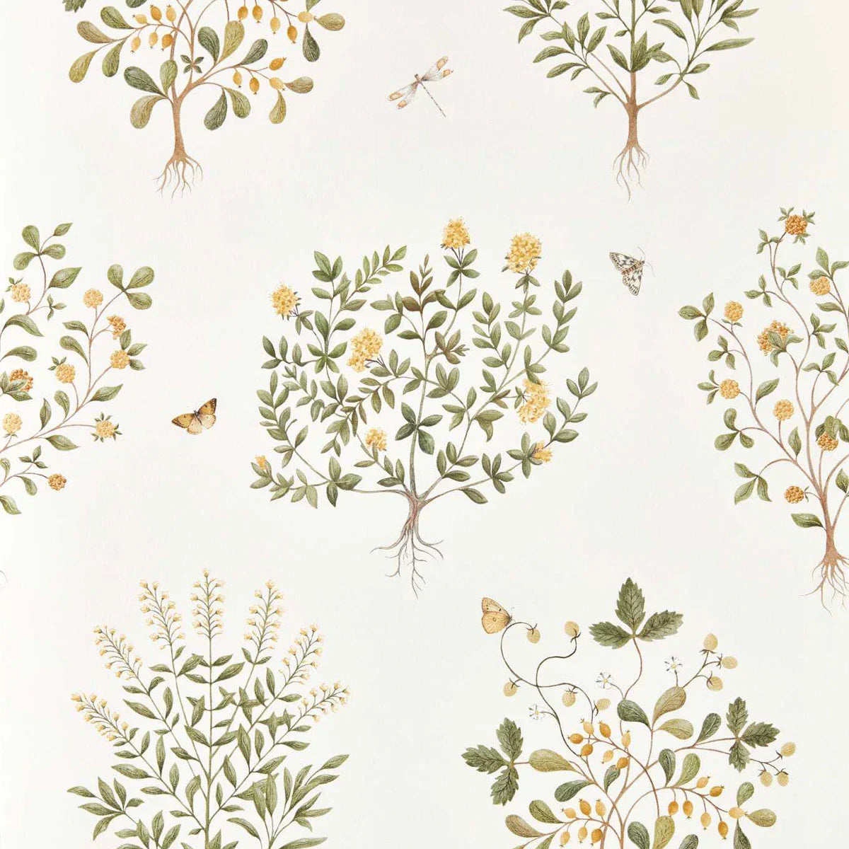 Thyme Walk Wallpaper - Sanderson