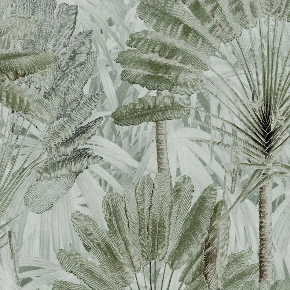 Traveller's Palm Wallpaper - Mind The Gap