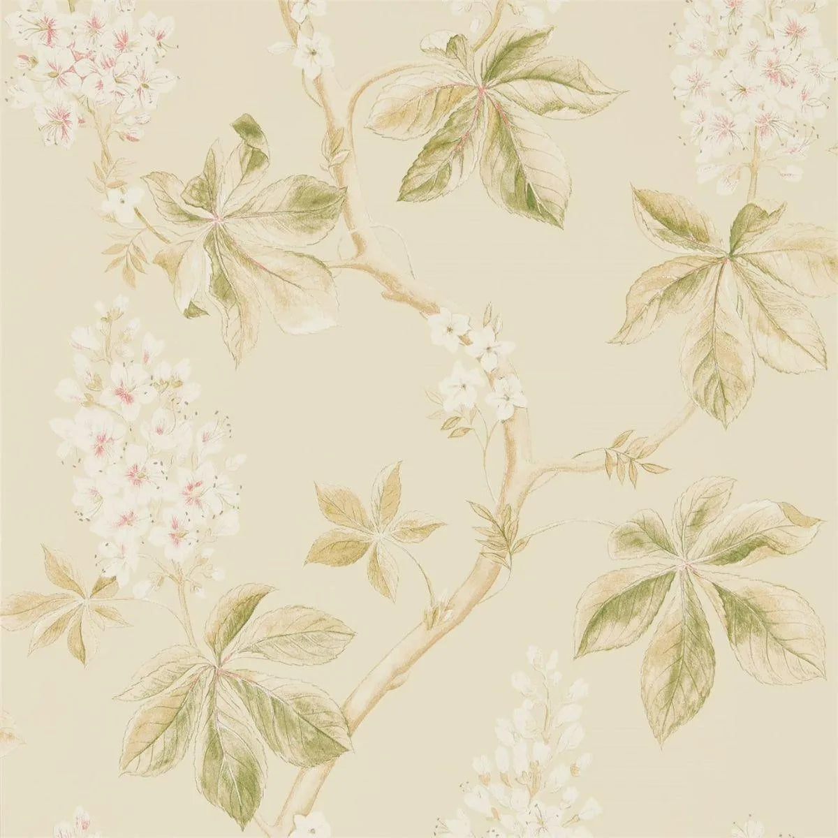 Chestnut Tree Wallpaper - Sanderson