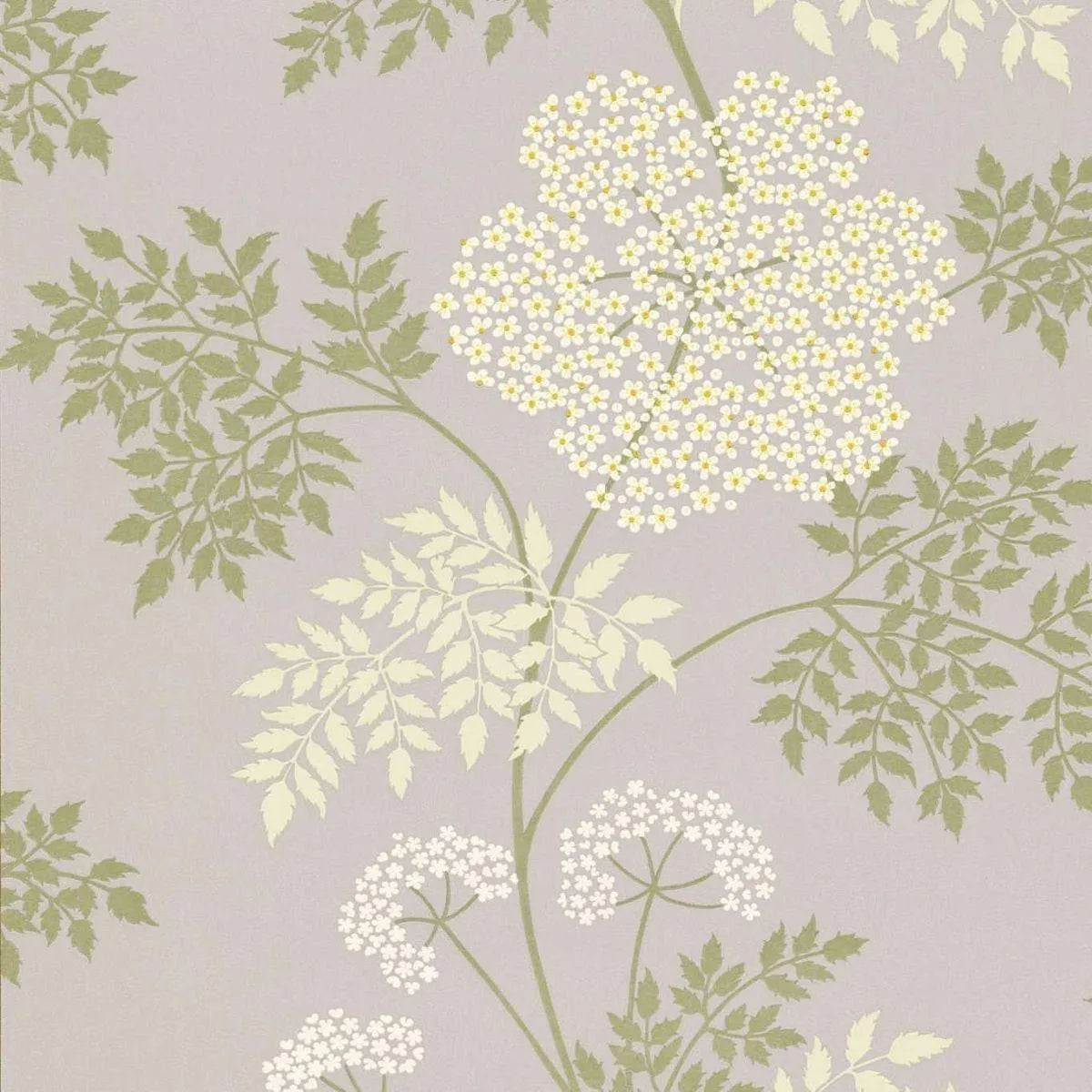 Cowparsley Wallpaper - Sanderson