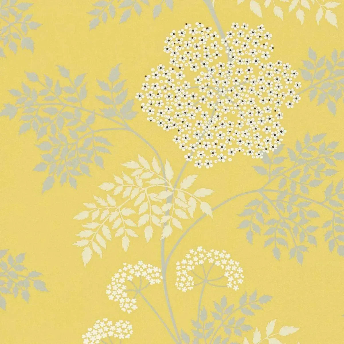 Cowparsley Wallpaper - Sanderson