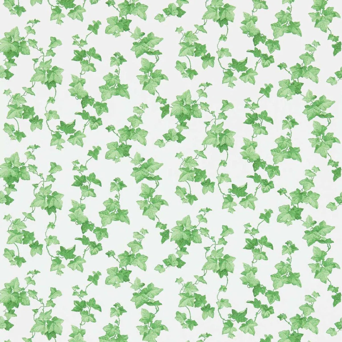 Hedera Wallpaper - Sanderson