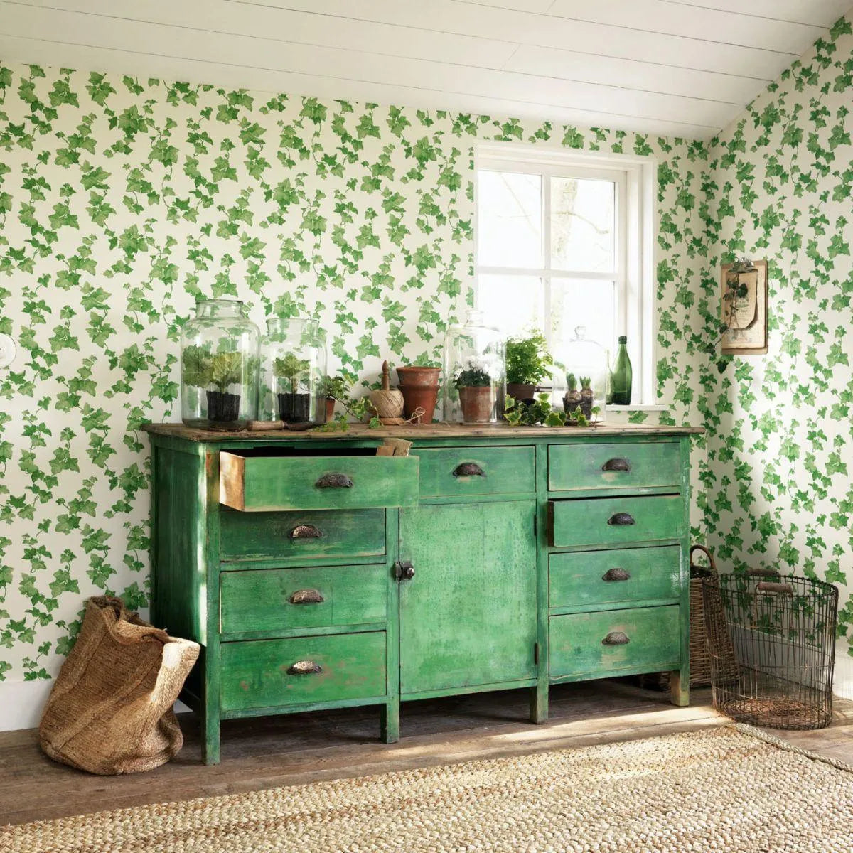 Hedera Wallpaper - Sanderson