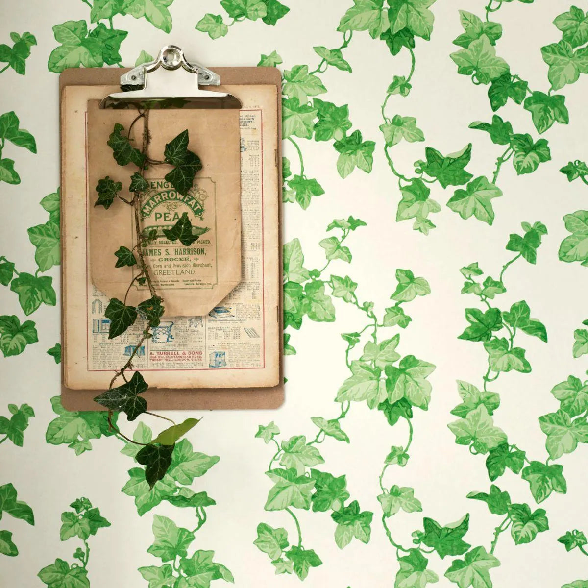 Hedera Wallpaper - Sanderson