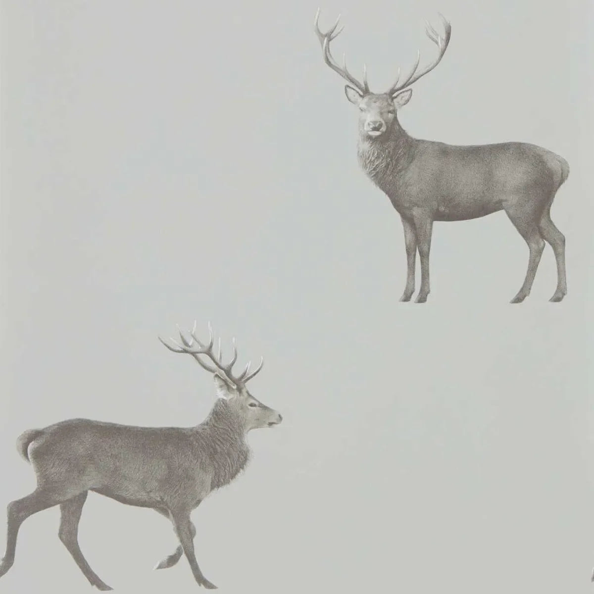 Evesham Deer Wallpaper - Sanderson