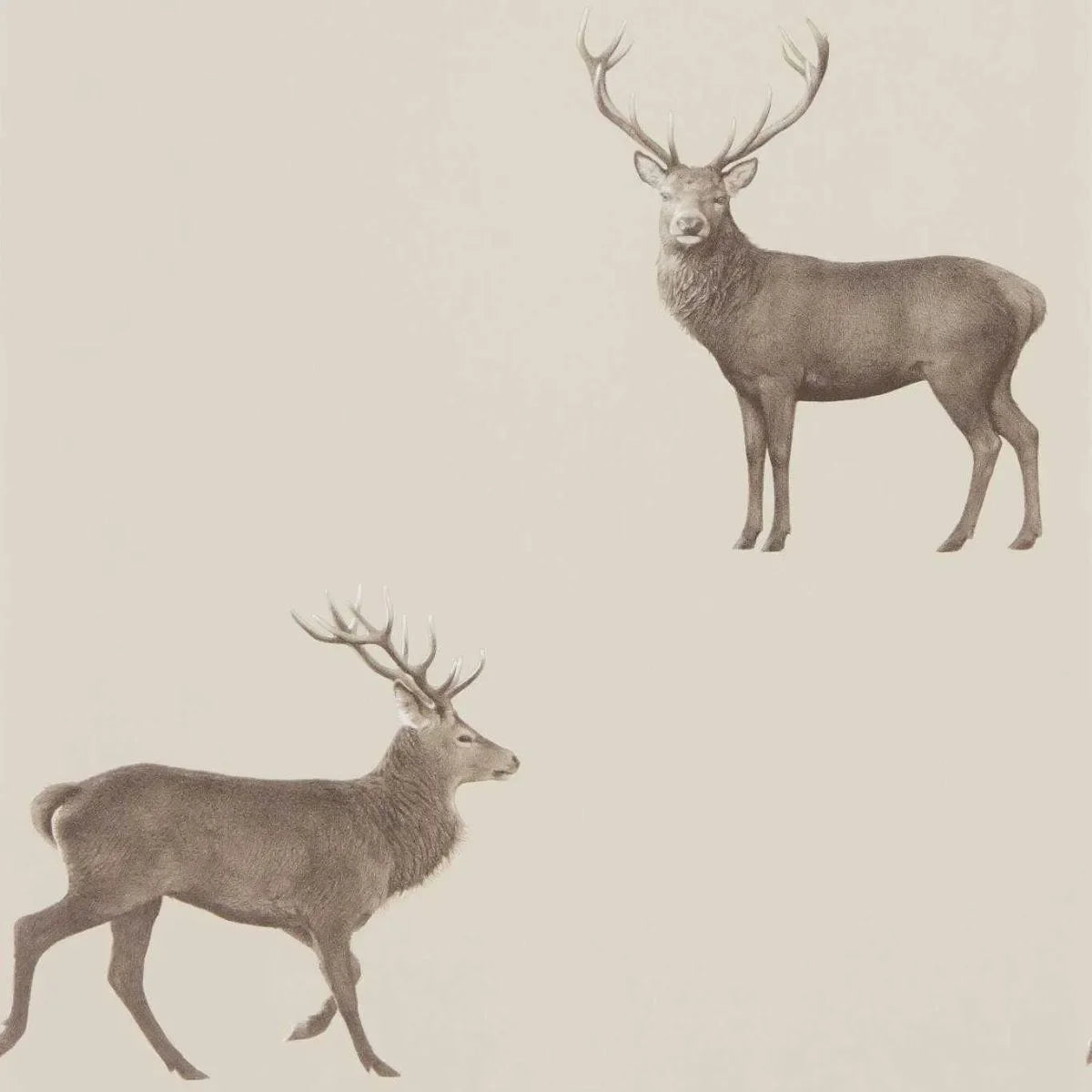 Evesham Deer Wallpaper - Sanderson