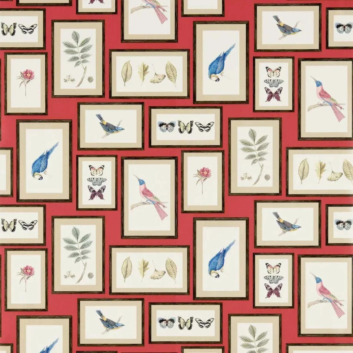 Picture Gallery Wallpaper - Sanderson