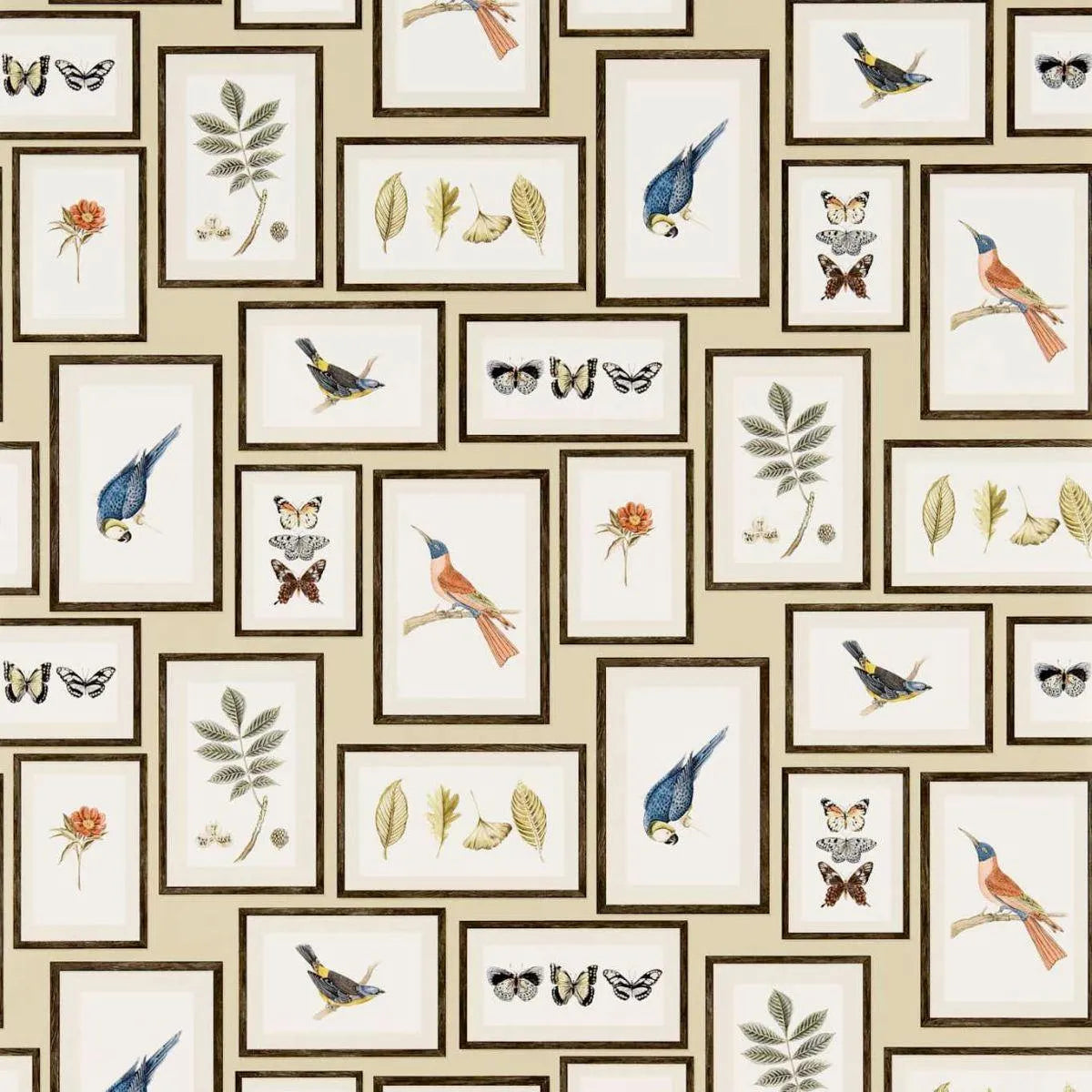 Picture Gallery Wallpaper - Sanderson