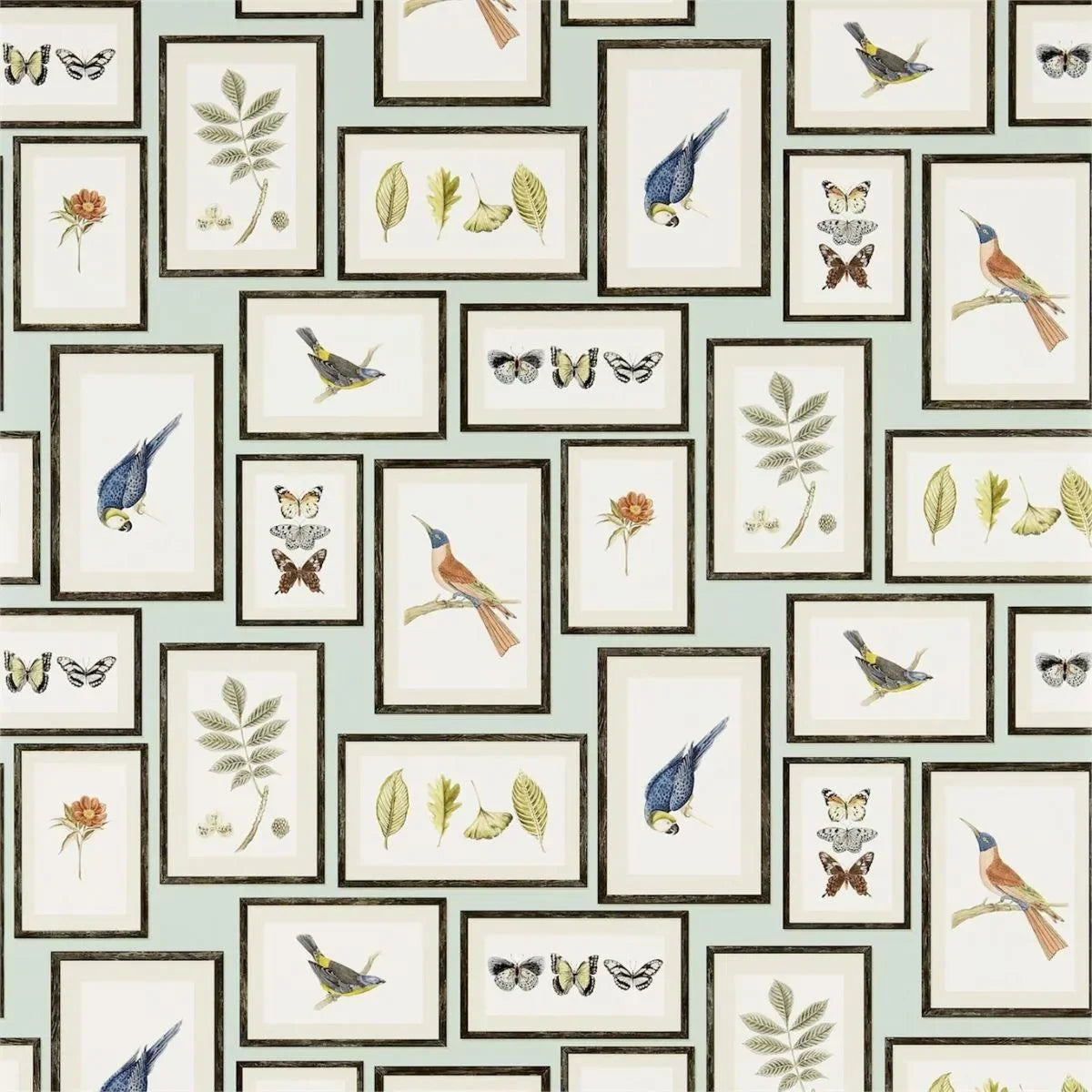 Picture Gallery Wallpaper - Sanderson