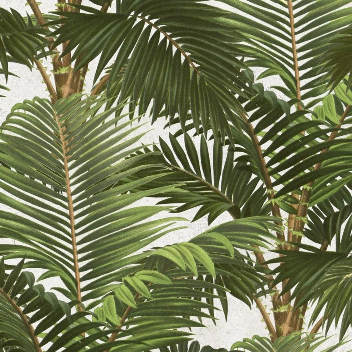 Jardin Tropical Wallpaper - Mind The Gap
