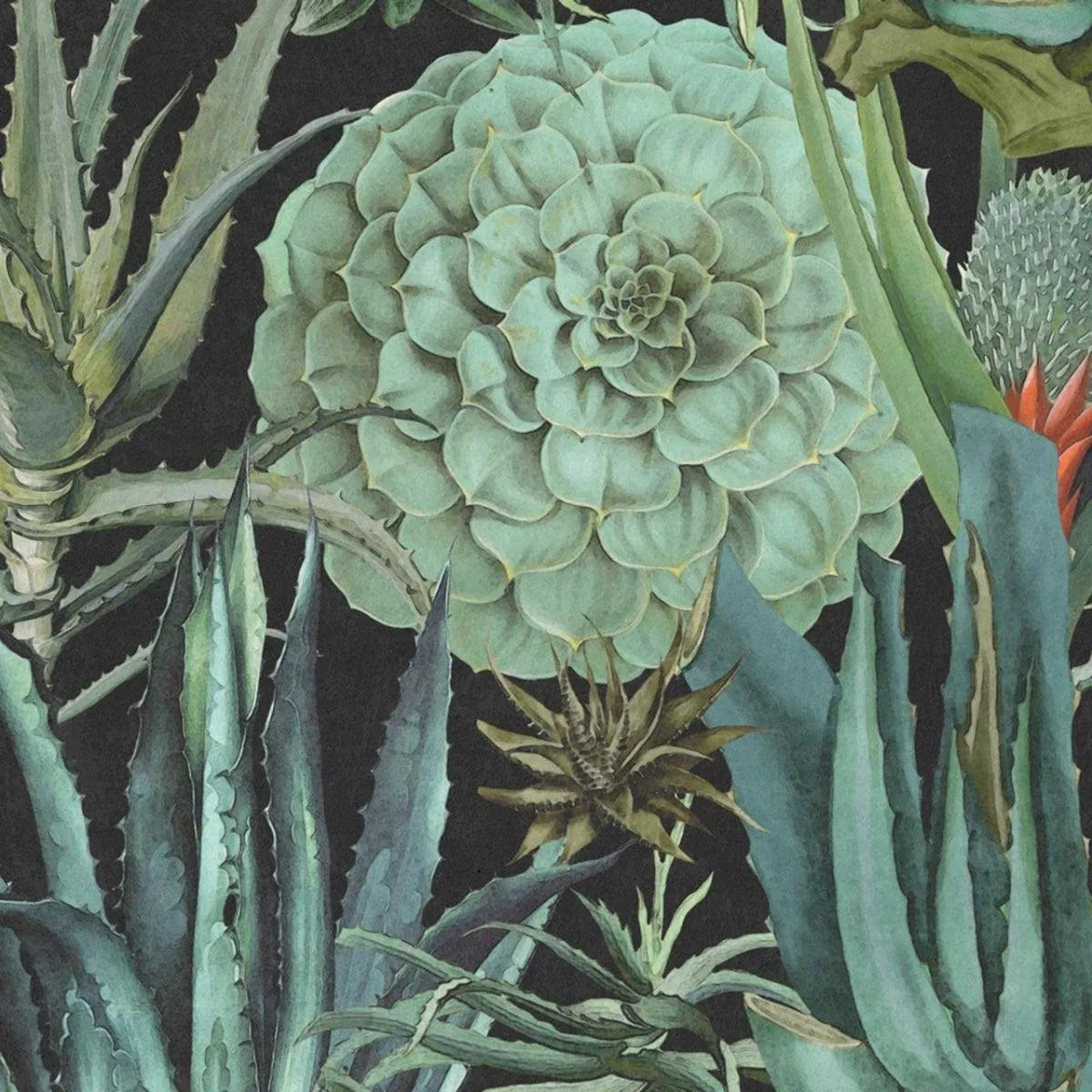 Succulentus Wallpaper - Mind The Gap