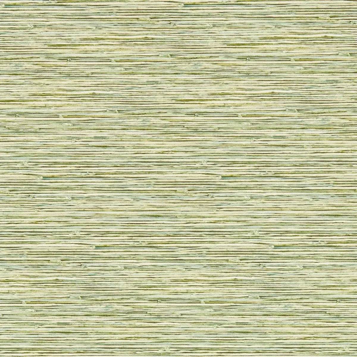 Xan Wallpaper - Clarke & Clarke X Breegan Jane