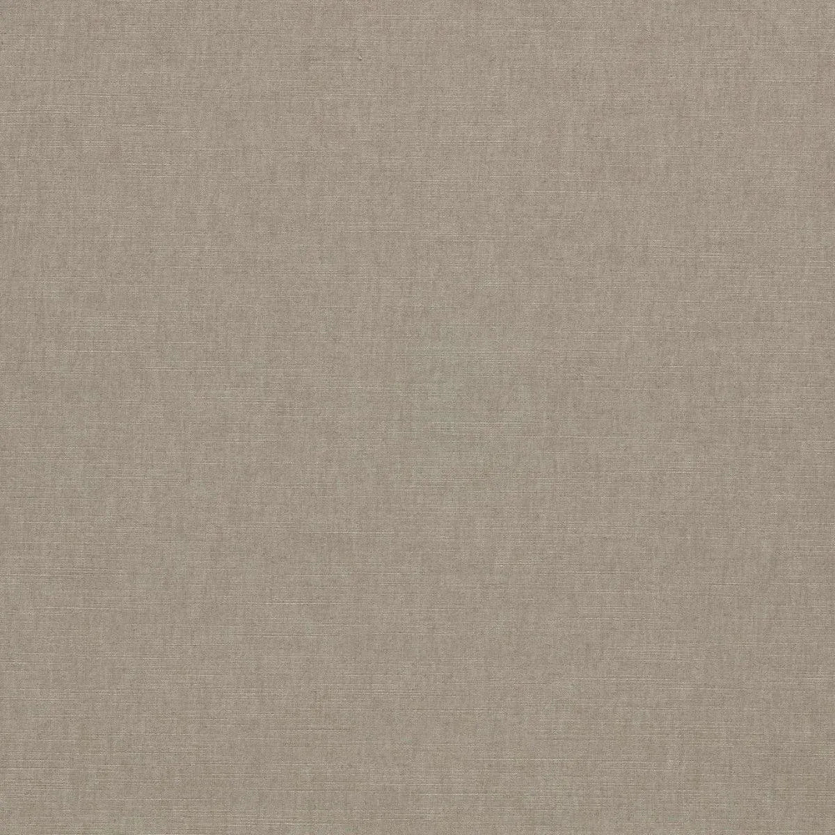 Paradiso Fabric - Clarke & Clarke X Breegan Jane