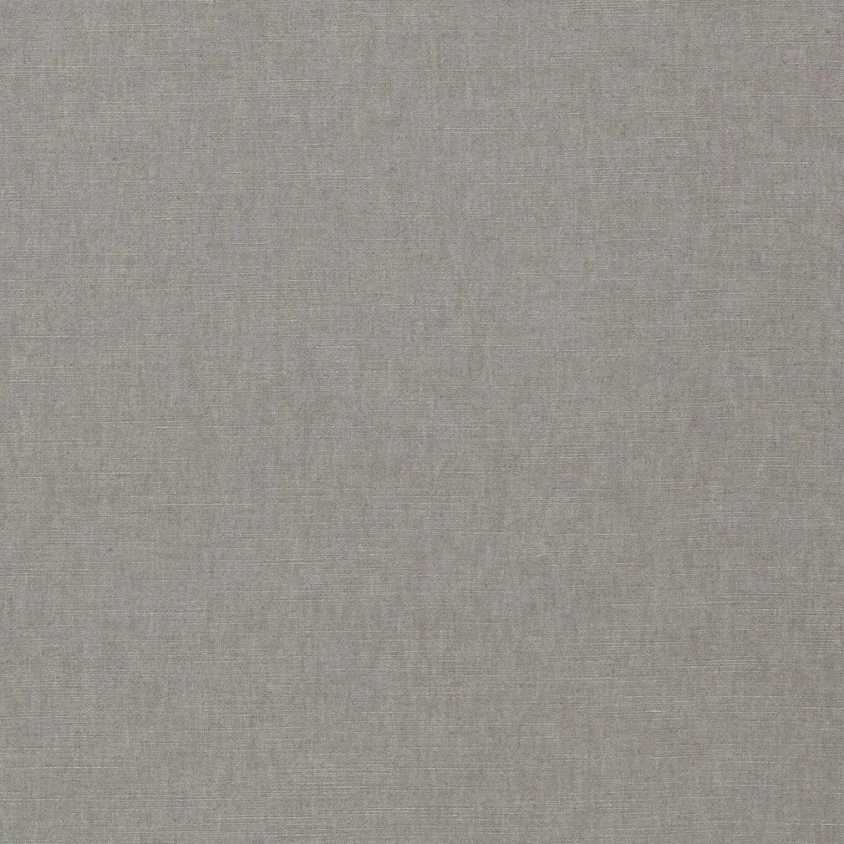 Paradiso Fabric - Clarke & Clarke X Breegan Jane
