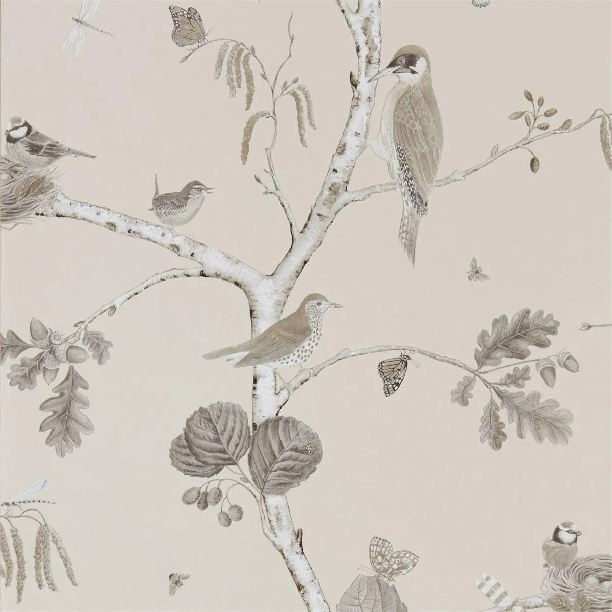 Woodland Chorus Wallpaper - Sanderson