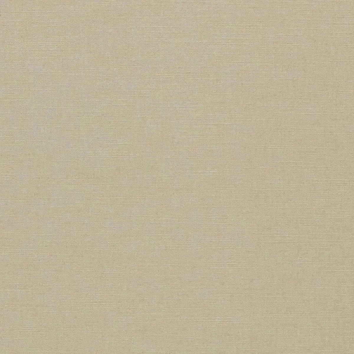 Paradiso Fabric - Clarke & Clarke X Breegan Jane