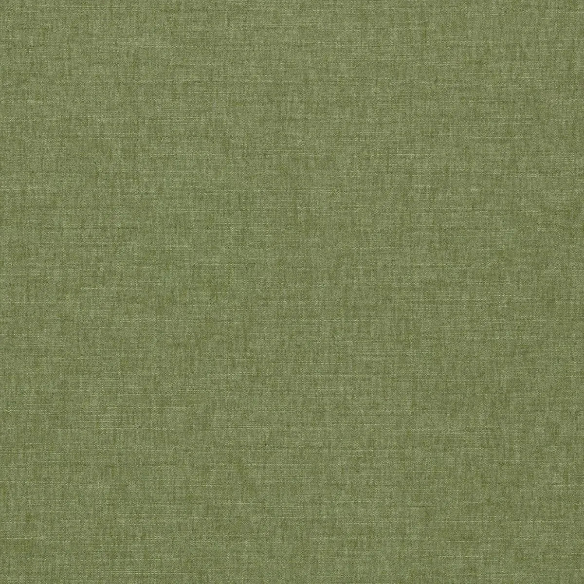 Paradiso Fabric - Clarke & Clarke X Breegan Jane