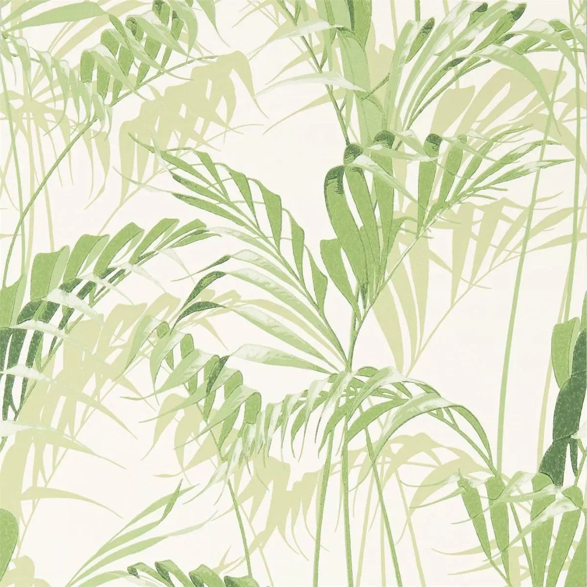 Palm House Wallpaper - Sanderson