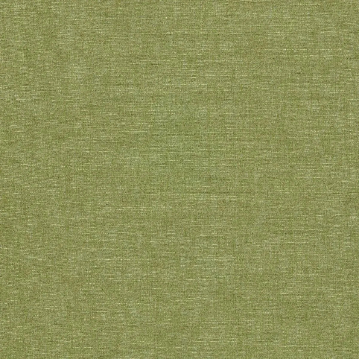 Paradiso Fabric - Clarke & Clarke X Breegan Jane