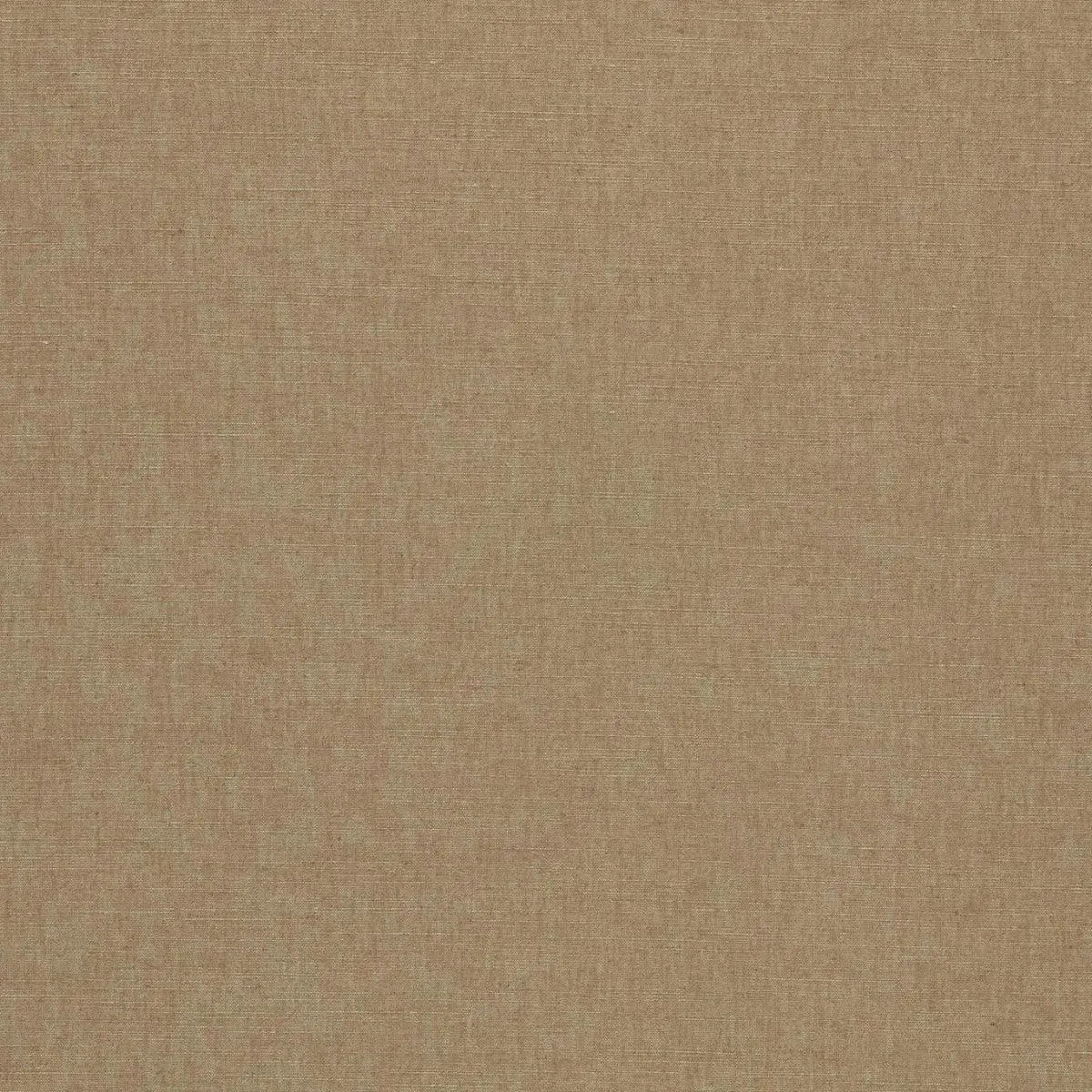 Paradiso Fabric - Clarke & Clarke X Breegan Jane